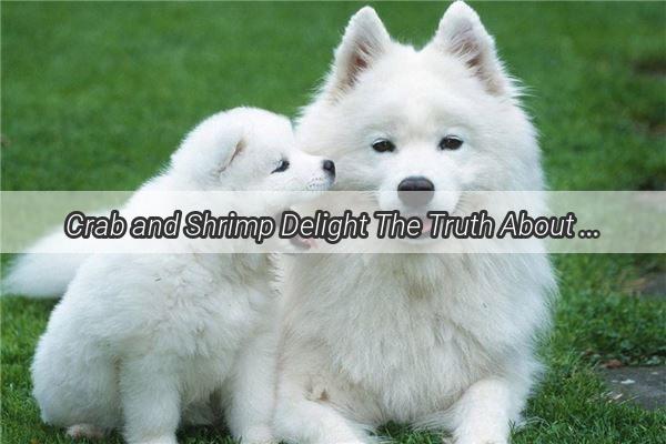 Crab and Shrimp Delight The Truth About Dogs and Seafood Snacks